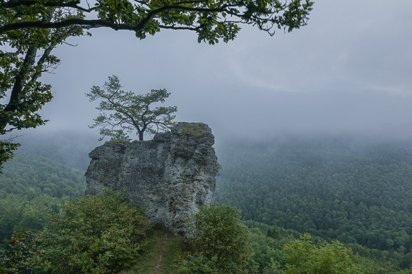 Felsen der Alb Felsen der Alb