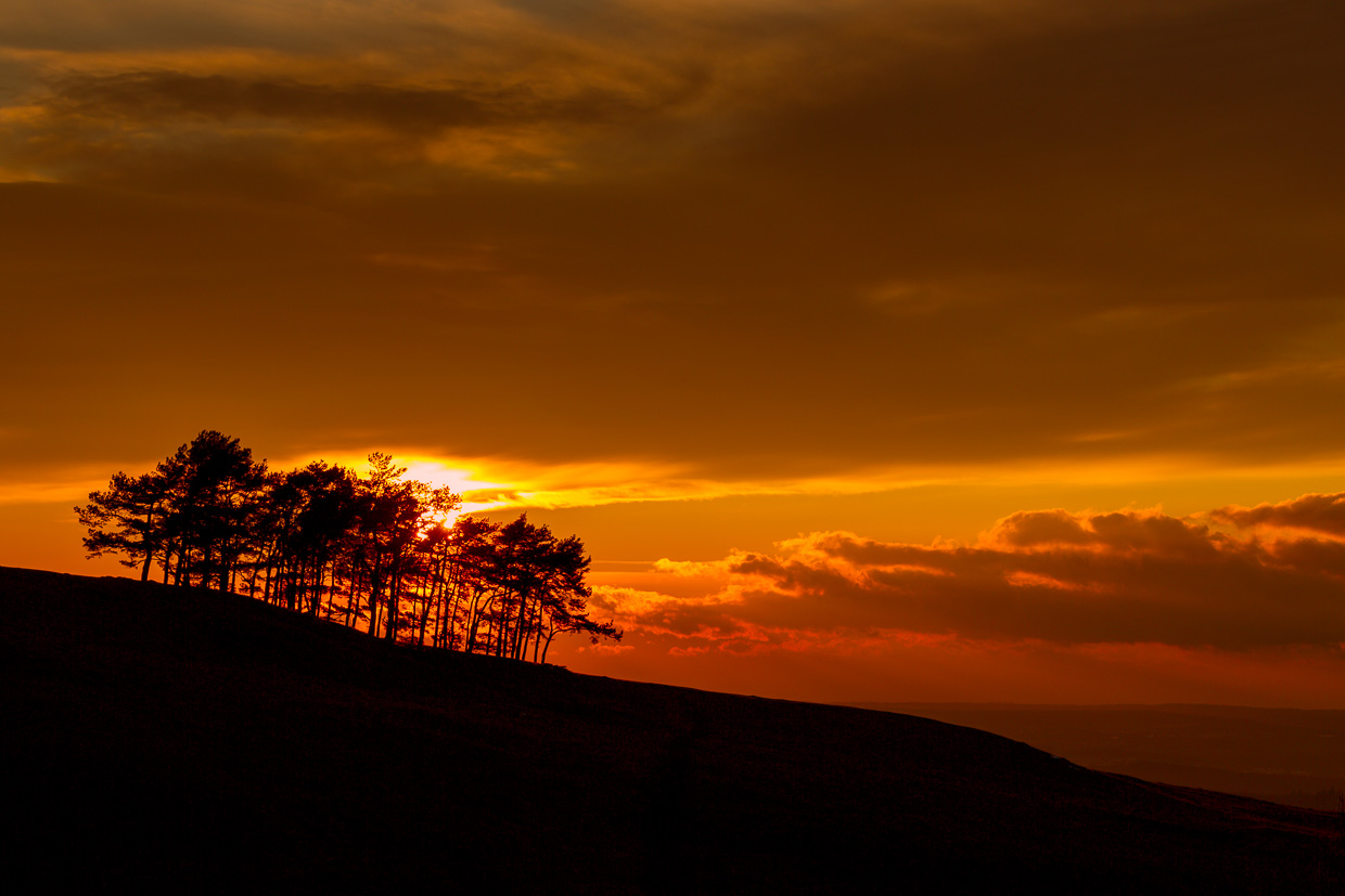 Abendstimmung am Hohenbol