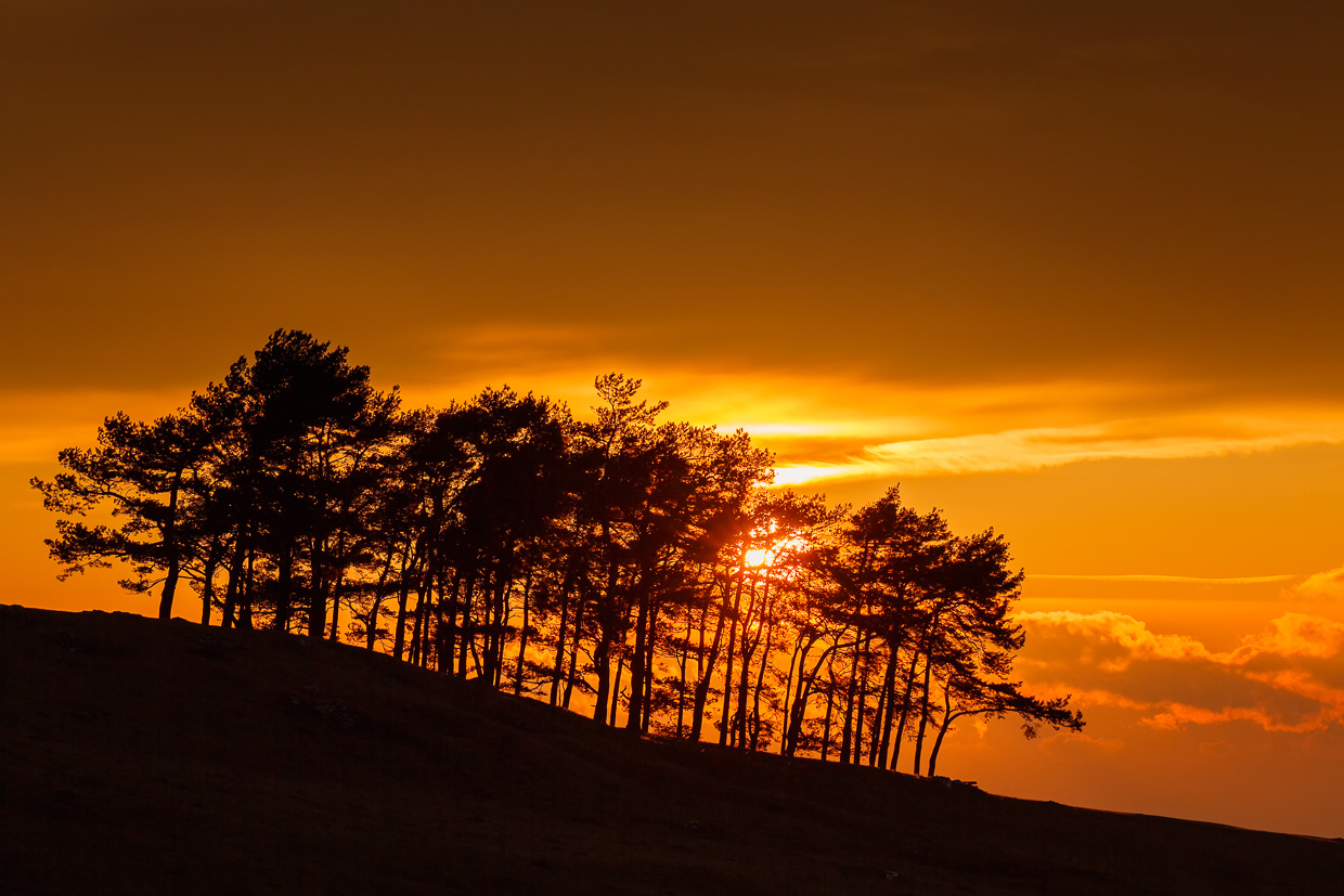 Sonnenuntergang am Hohenbol