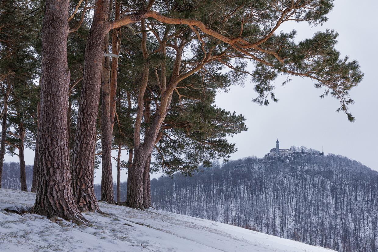 Winterliche Teck mit Blick vom Hohenbol