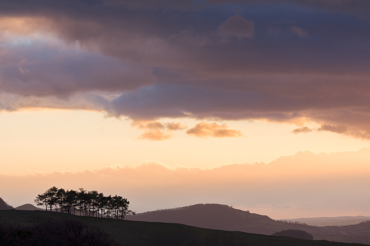 Am Ende eines Tages - Blick auf das Wäldchen beim Hohenbol