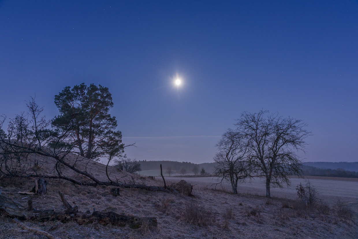 Mond über gefallenem Baum
