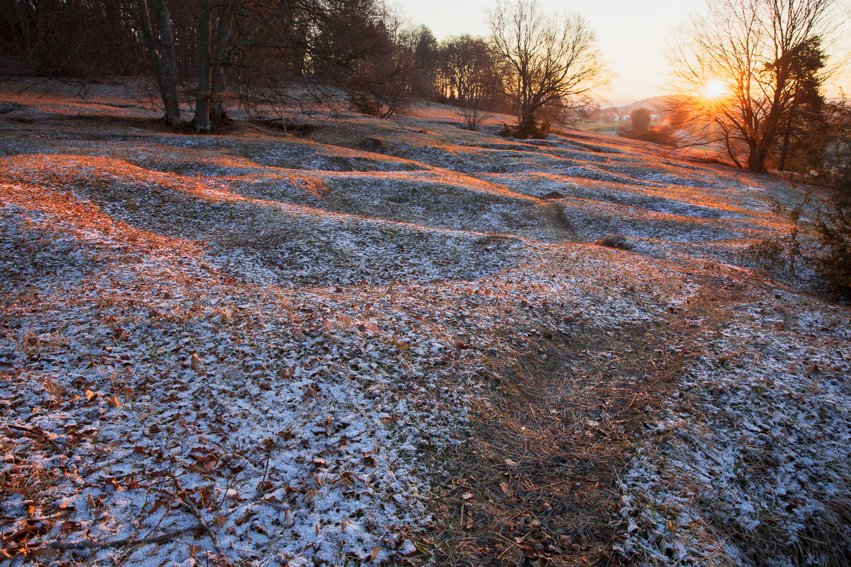 Frostfreier Pfad durch ein NSG