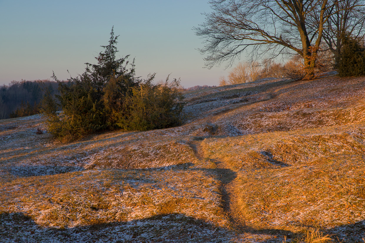 Weg durch die gefrorene Wacholderheide
