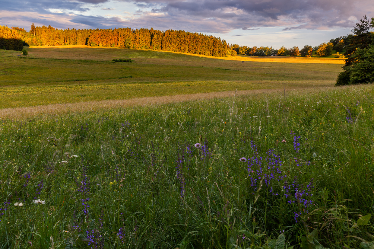 Sonnenstreifen am Albtrauf