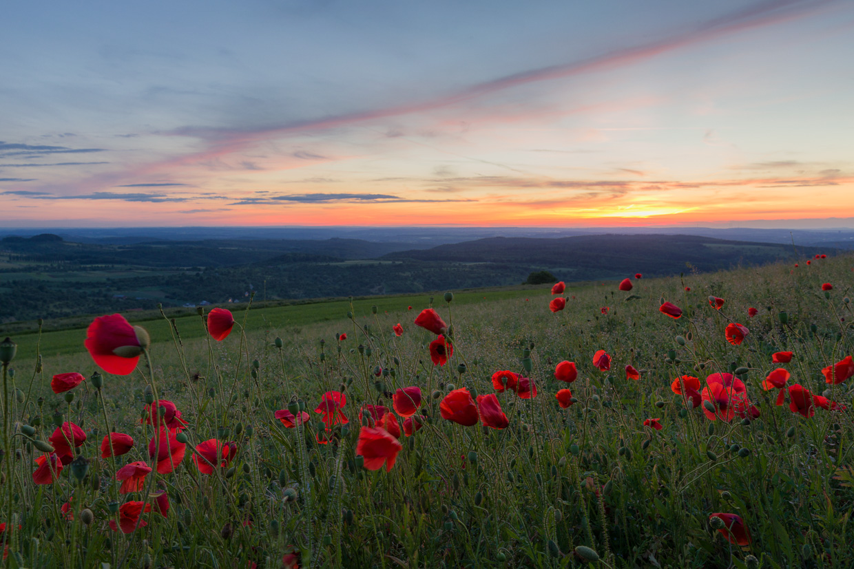 Sonnenuntergang am Bölle mit Mohn