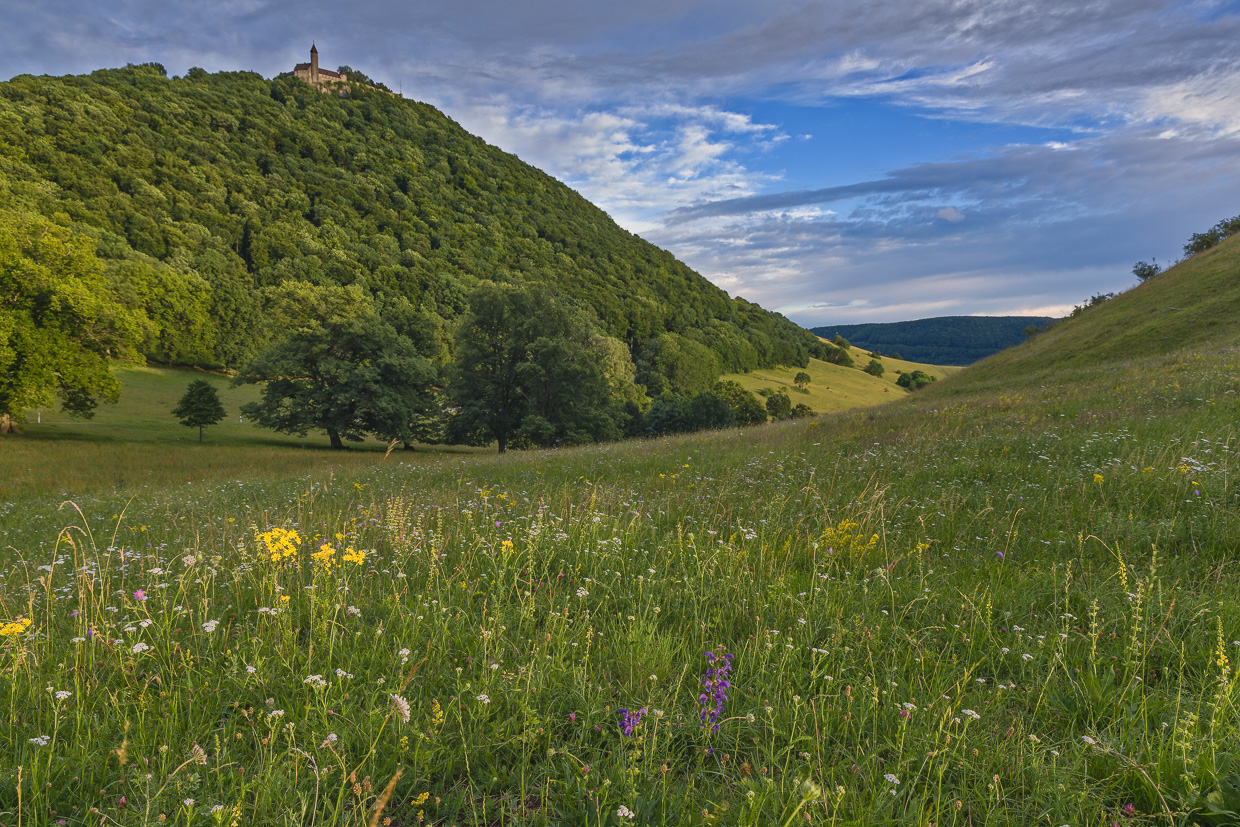 Albwiese des Hohenbol