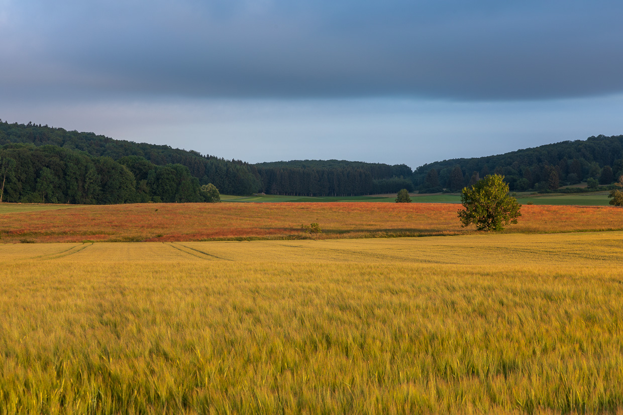 Farbenpracht der Alb-Kulturlandschaft