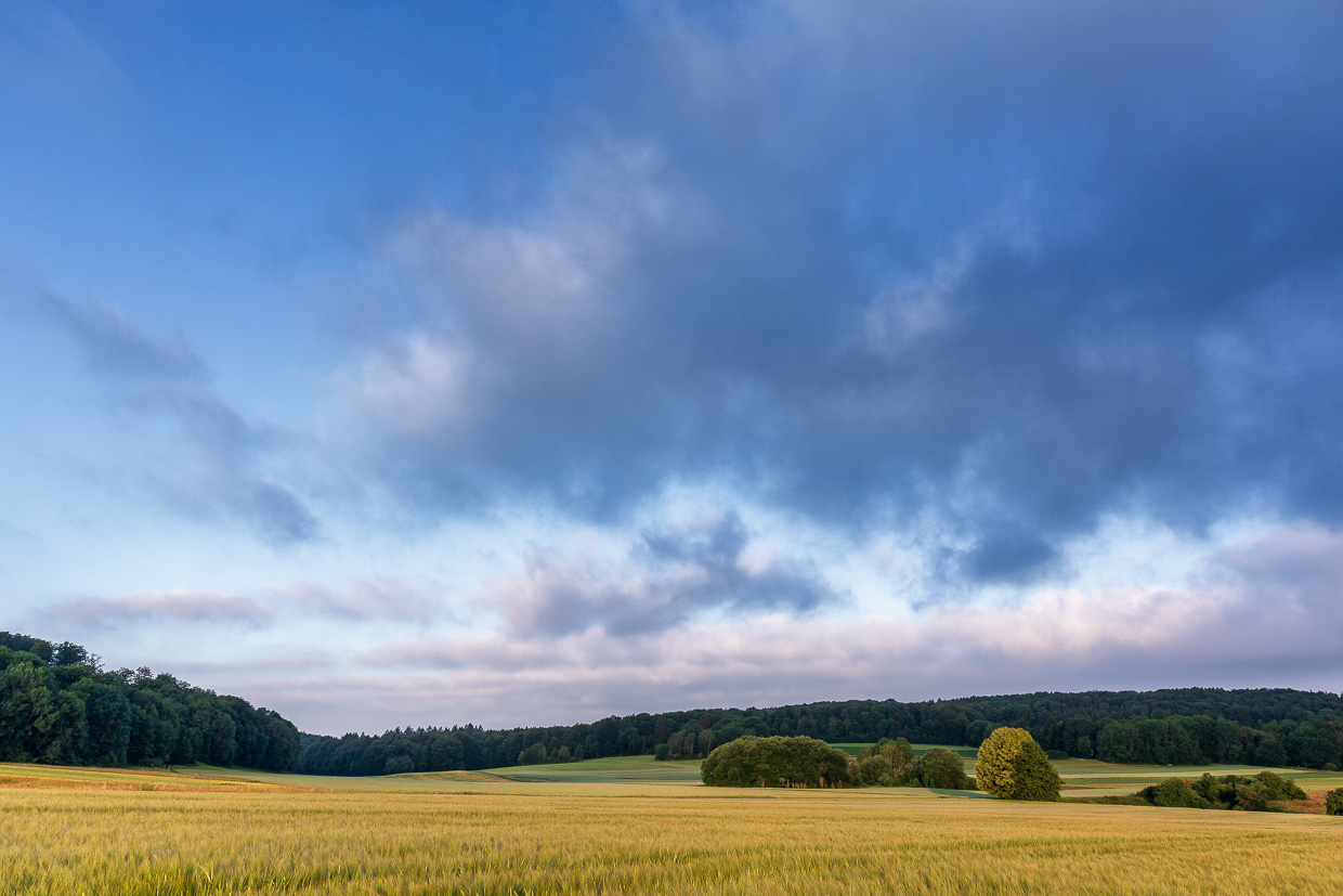 Getreidefeld unter Wolken