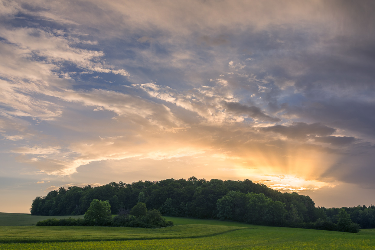Sonnenstrahlen über einem Alb-Wäldchen