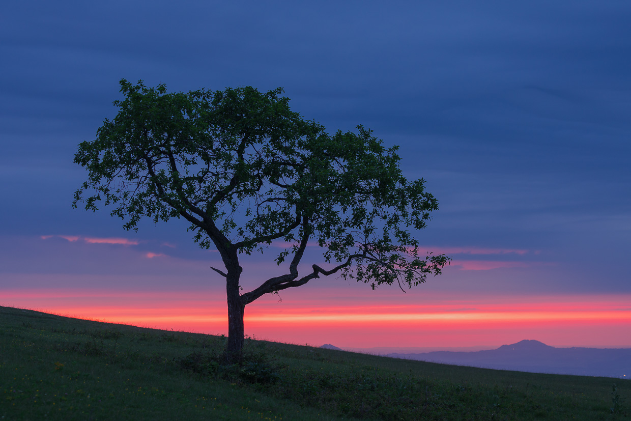 Lichtstreifen am Morgenhorizont