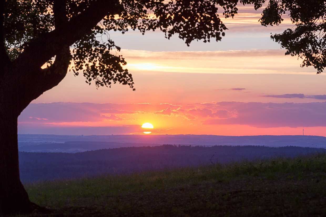 Sonnenuntergang mit Baum