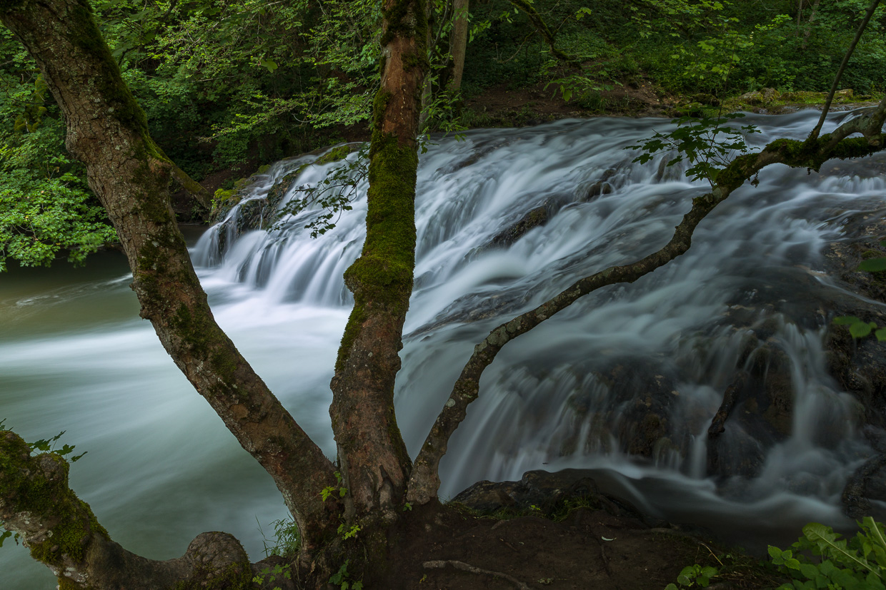 Hoher Gießel im Großen Lautertal mit Uferbaum