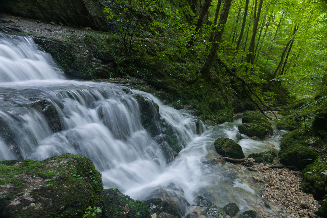 Elsach am Höhlenausgang