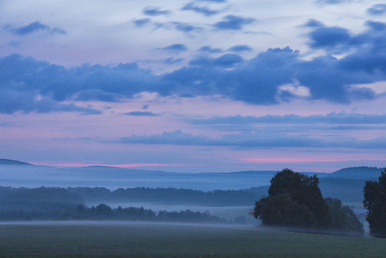 Frühnebel bei Eglingen mit Baumgruppe