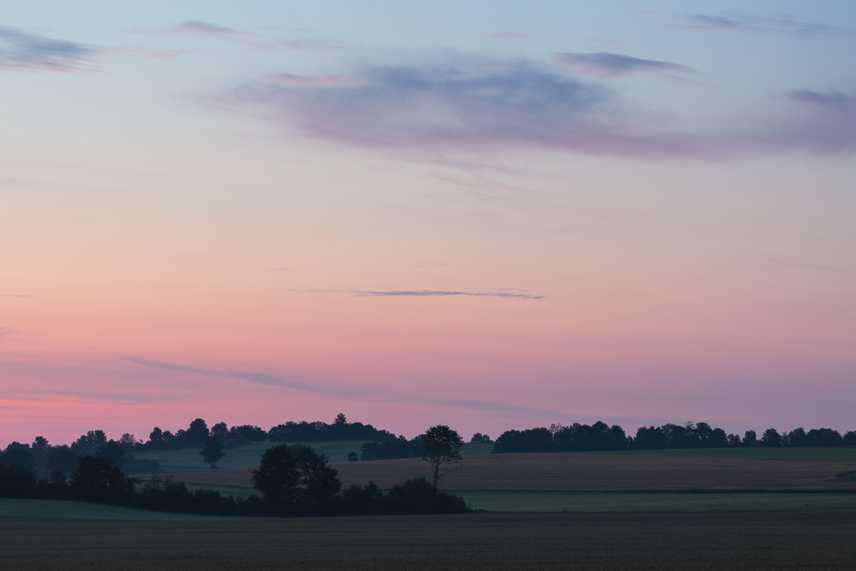 Heckenlandschaft bei Ingstetten