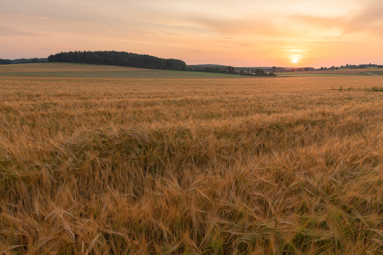 Sonnenaufgang neben Waldhügel
