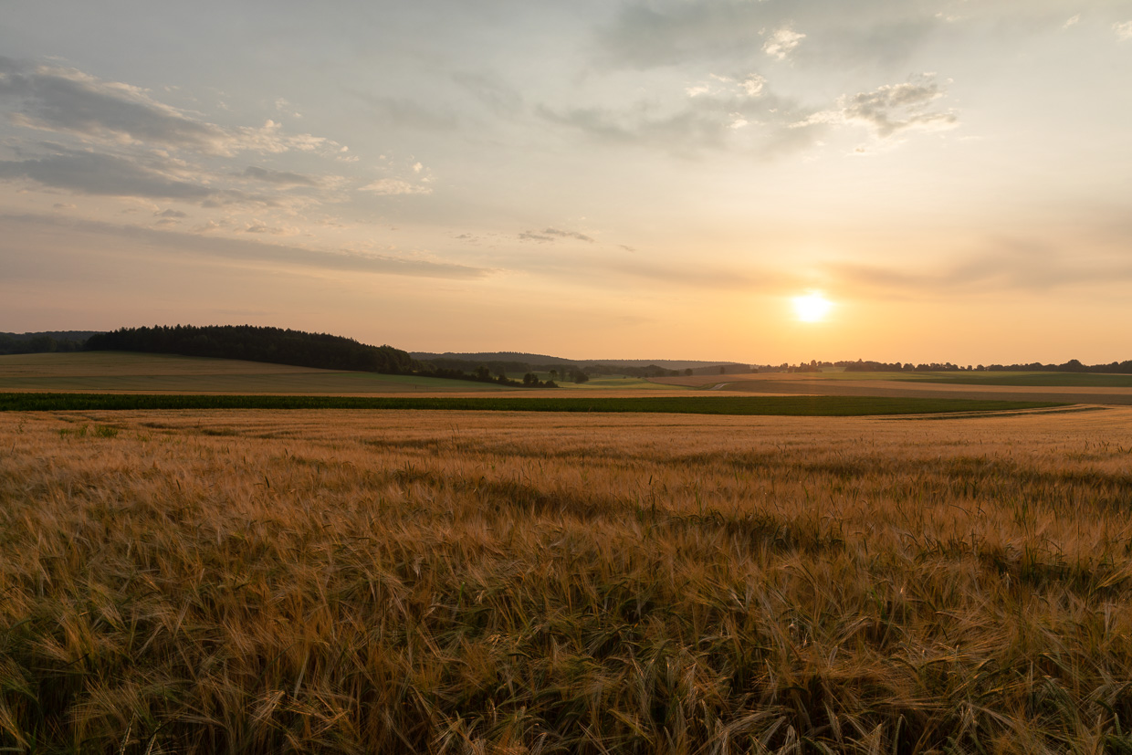 Sonnenaufgang bei Ingstetten