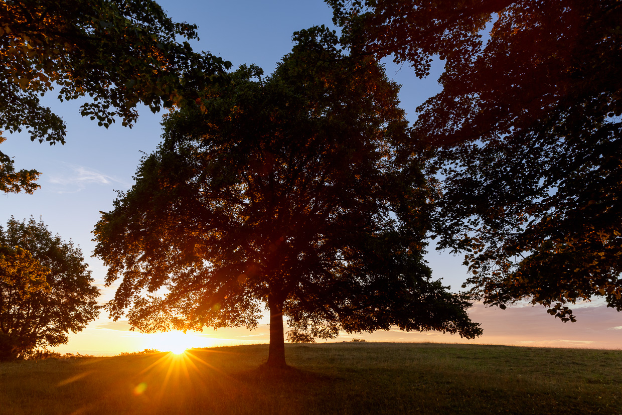 Sonnenaufgang bei Ochsenwang