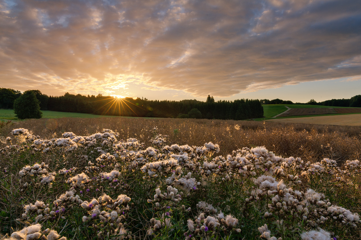 Sonnenaufgang bei Westerheim