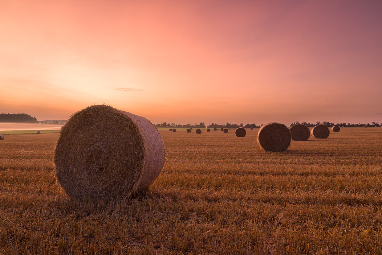 Strohballen vor einem dunstigen Sonnenaufgang