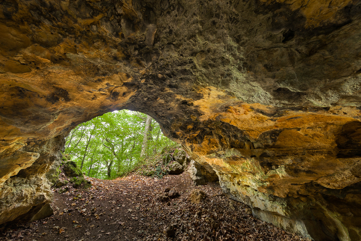 Blick aus der Barnberghöhle