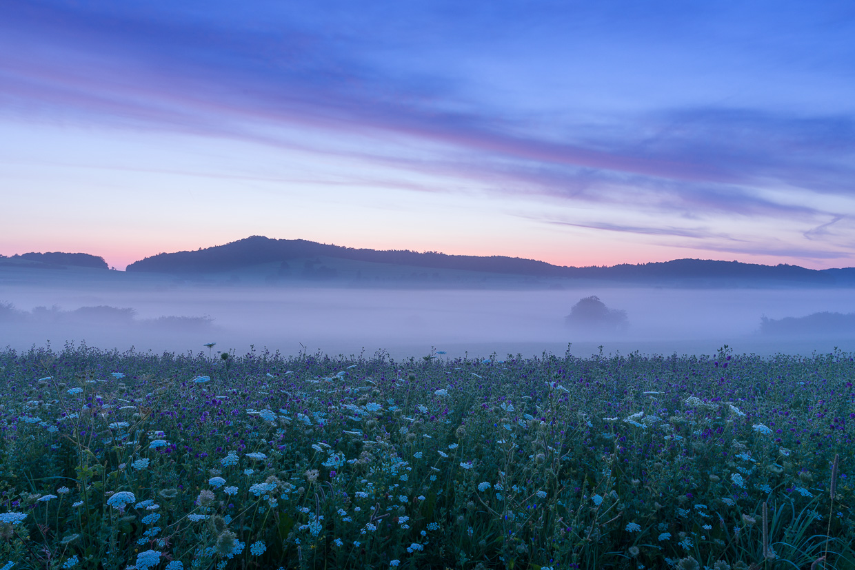 Morgendliche Wiese bei Undingen