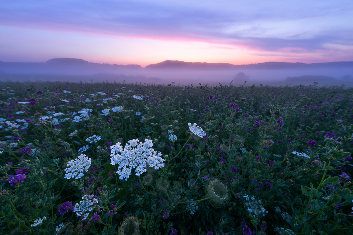 Tagesanbruch bei Undingen