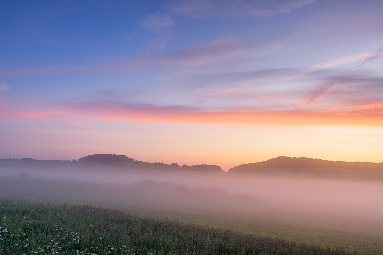 Das erste Sonnenlicht mit Bodennebel