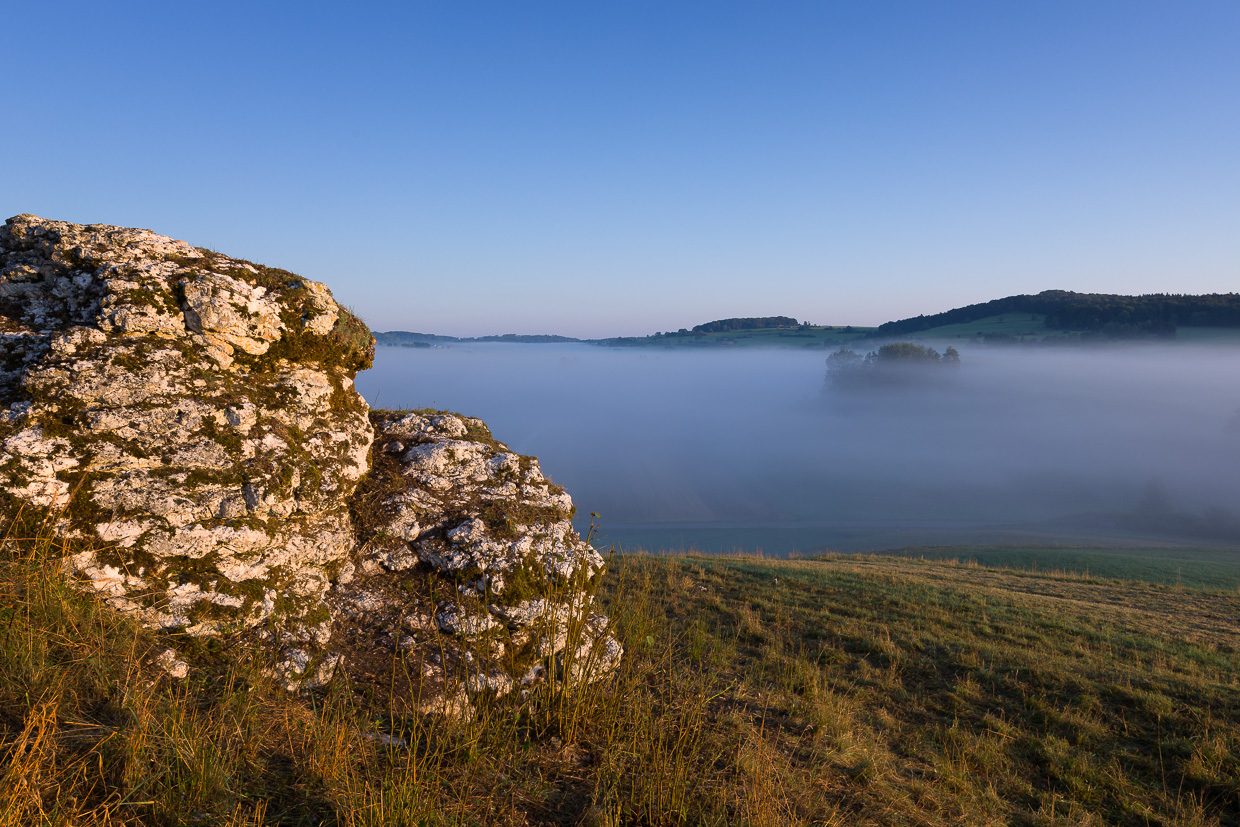 Meeresriff auf der Alb