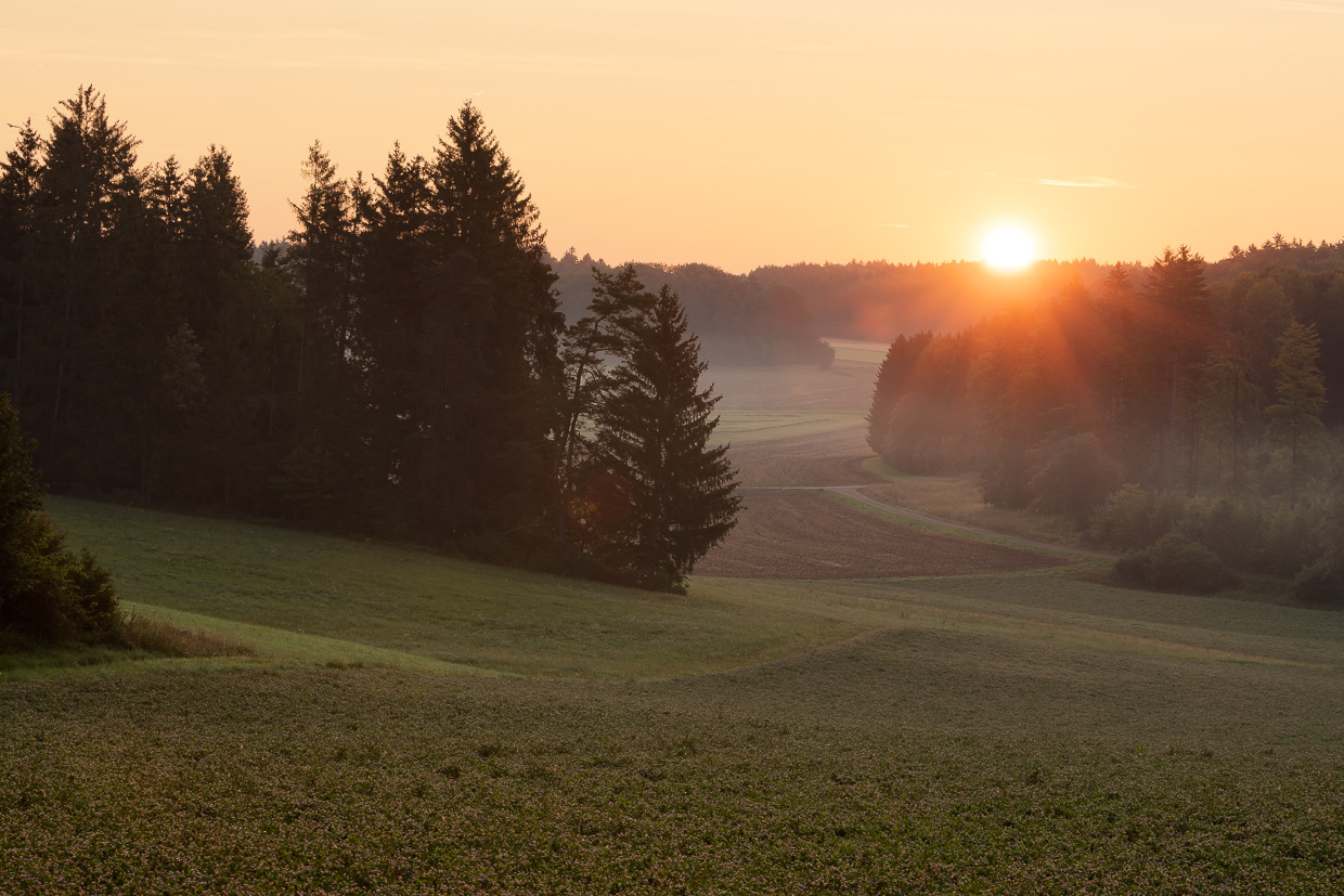 Sonnenaufgang bei Mägerkingen