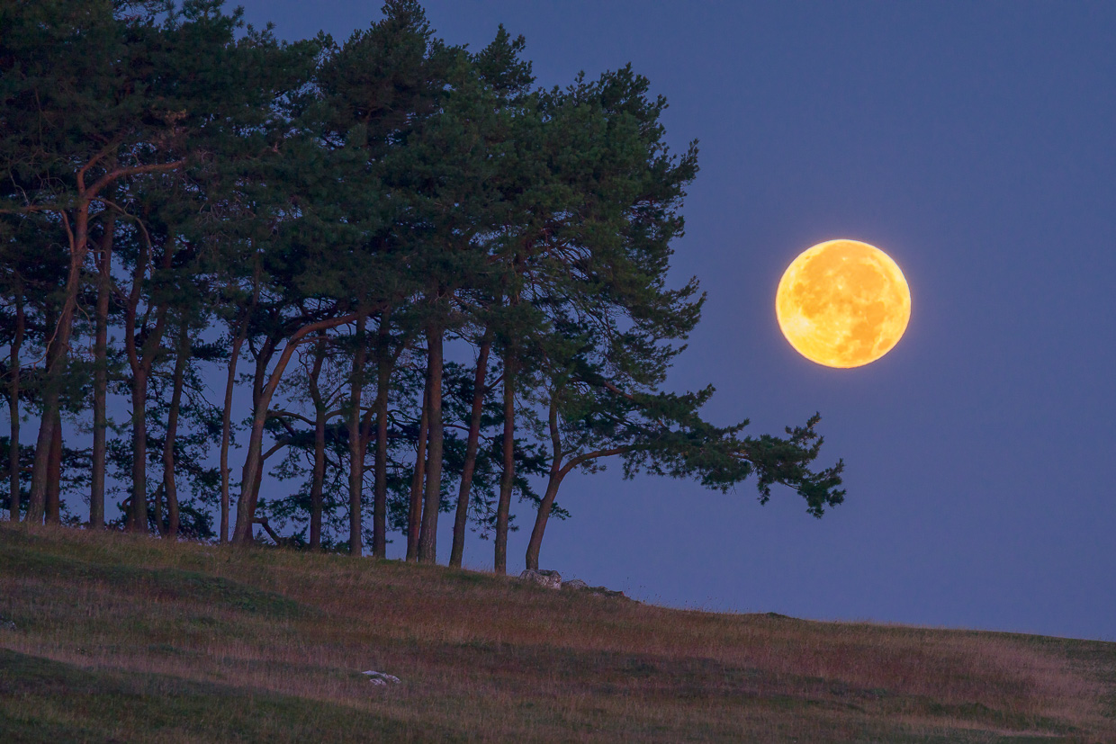 Untergehender Mond hinter dem Hohenbol