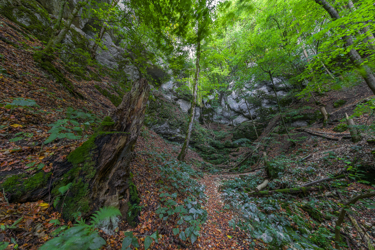 Weg zur großen Schrecke