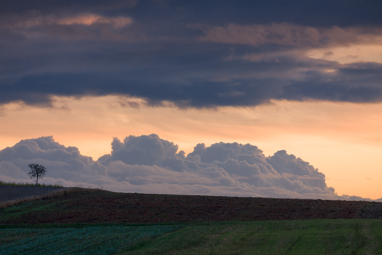 Wolkenberge hinter einem Baum