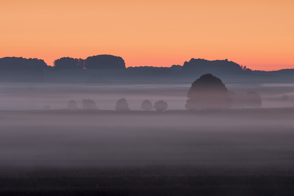Bodennebel bei Dämmmerung