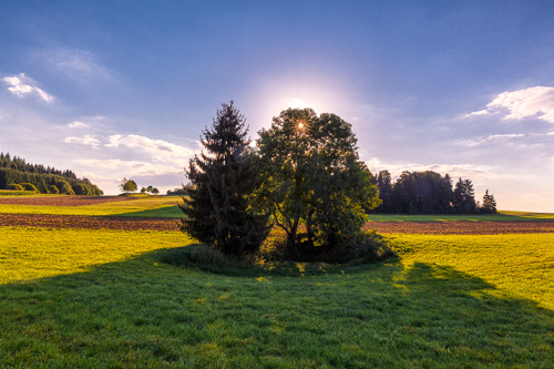 20150909_Wolfgang_Trust_OTR9668-HDR.jpg