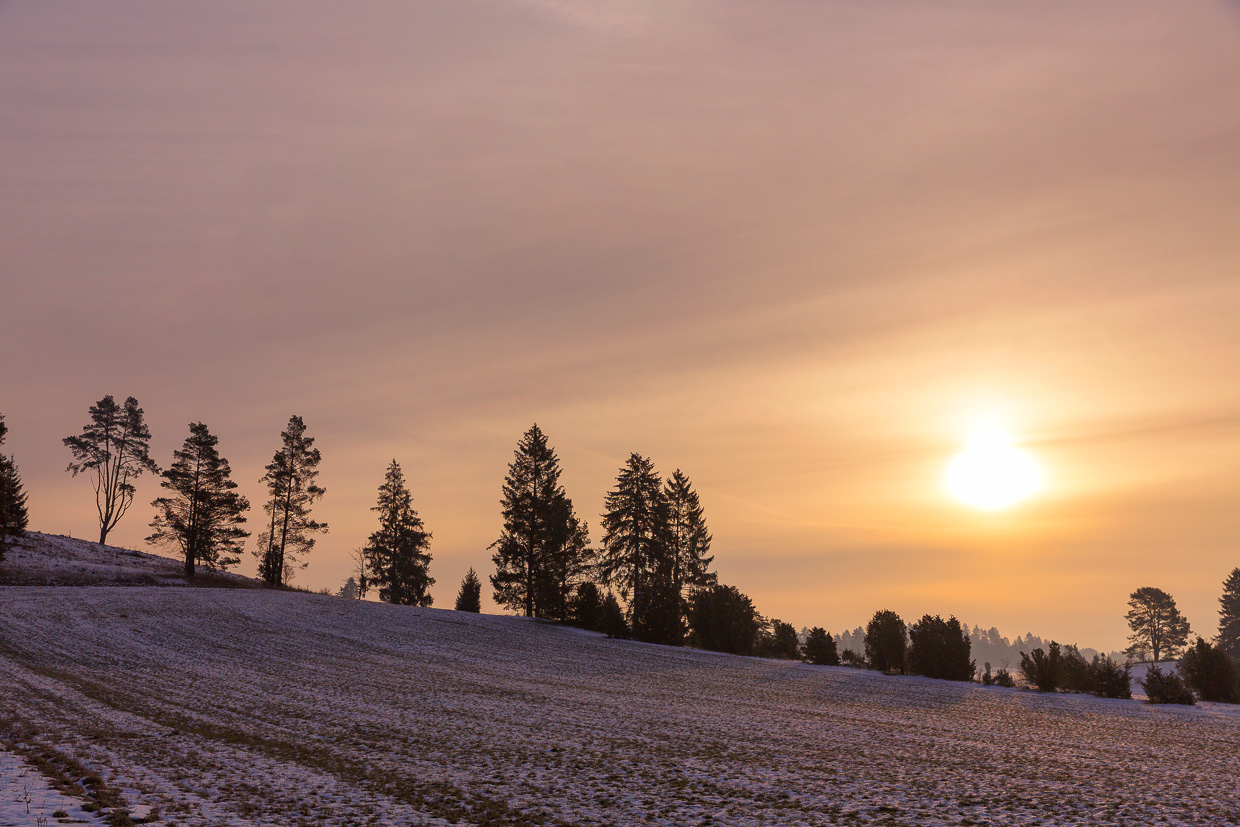 Leicht verschneites Digelfend bei Sonnenaufgang
