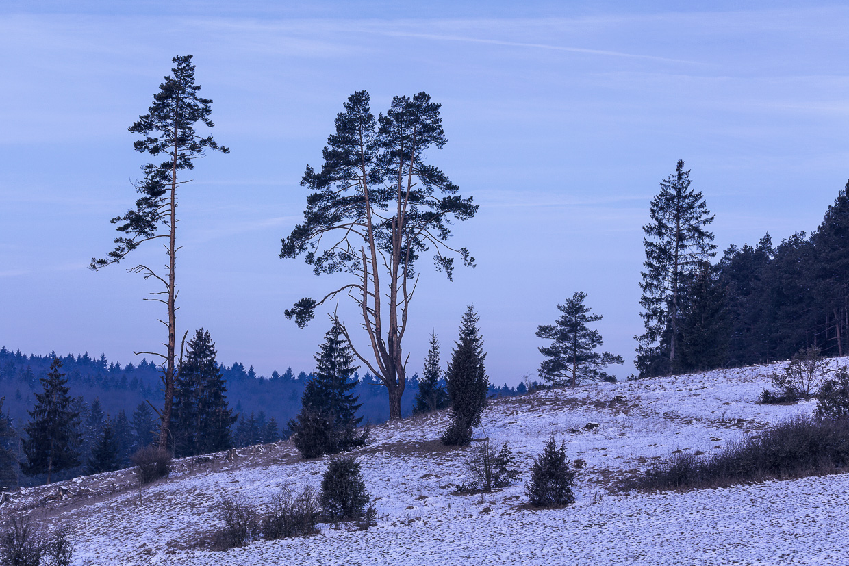 Blaue Stunde im Digelfeld